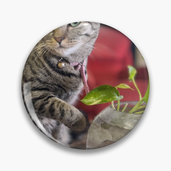 Item preview, Kit Kat Drinks From the Trophy designed and sold by thegindielady.