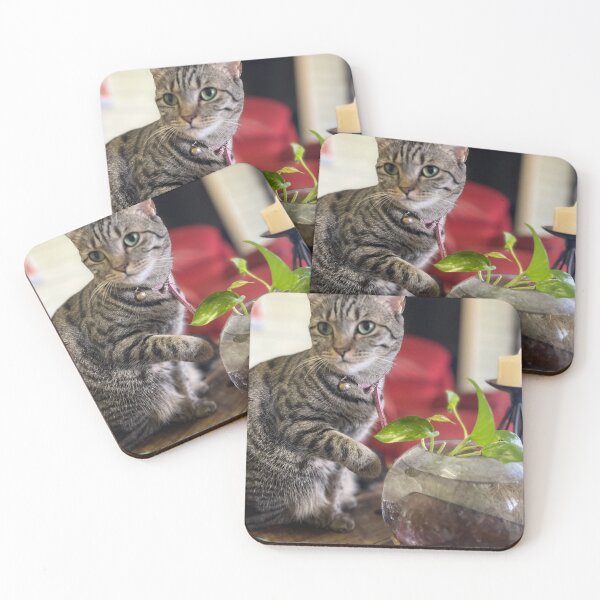 Item preview, Kit Kat Drinks From the Trophy designed and sold by thegindielady.
