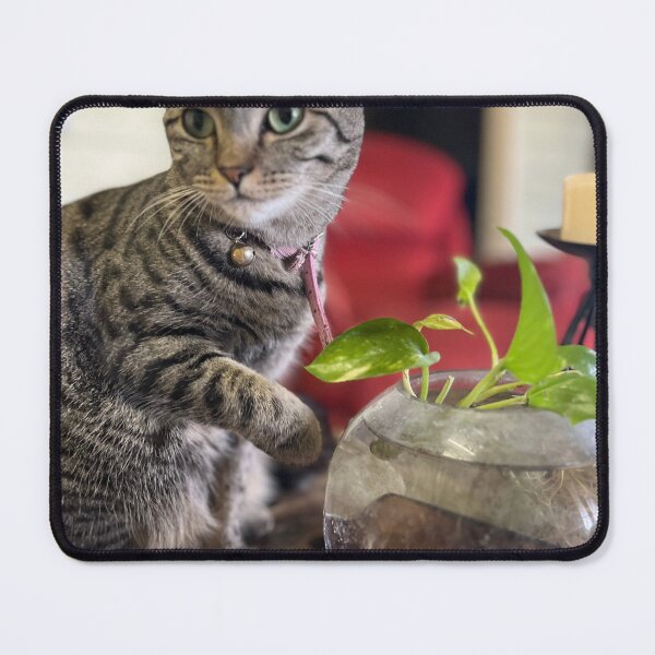 Item preview, Kit Kat Drinks From the Trophy designed and sold by thegindielady.