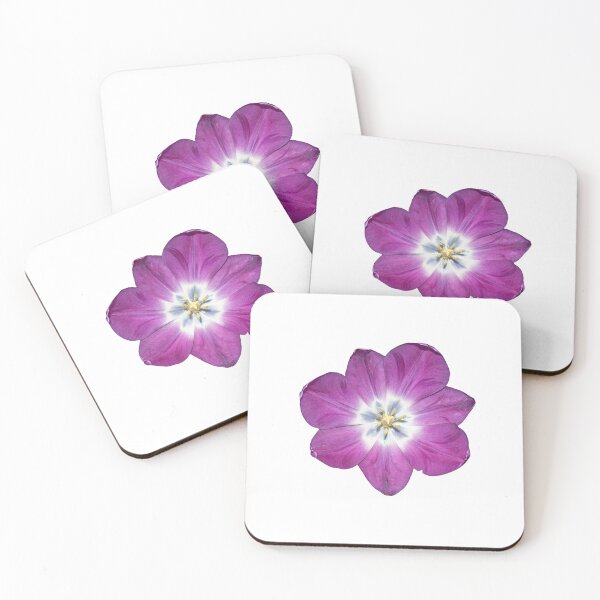 Item preview, Open Heart Laid Bare — Purple Tulip Botanical Art designed and sold by Susarellis.