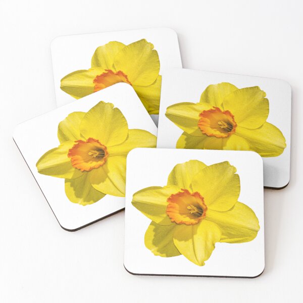 Item preview, Yellow & Orange Daffodil — Spring Botanical Floral Macro Photography designed and sold by Susarellis.