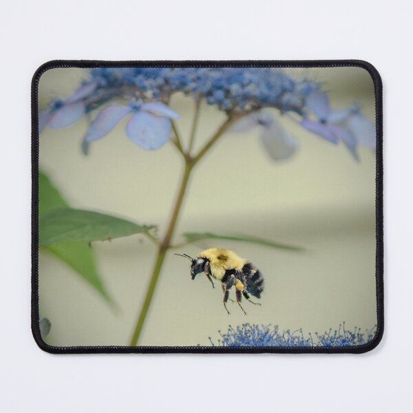Item preview, Hovering Among the Lacecap Blues designed and sold by Susarellis.