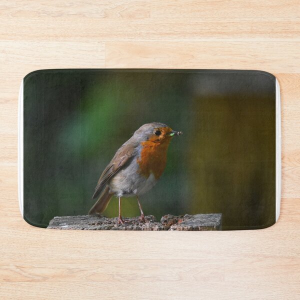 Item preview, European Robin Perched on a Log in Natural Light designed and sold by Shanguai.