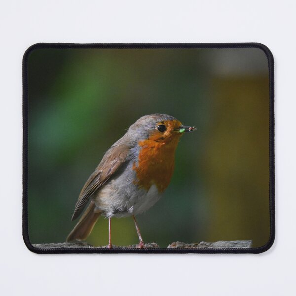Item preview, European Robin Perched on a Log in Natural Light designed and sold by Shanguai.