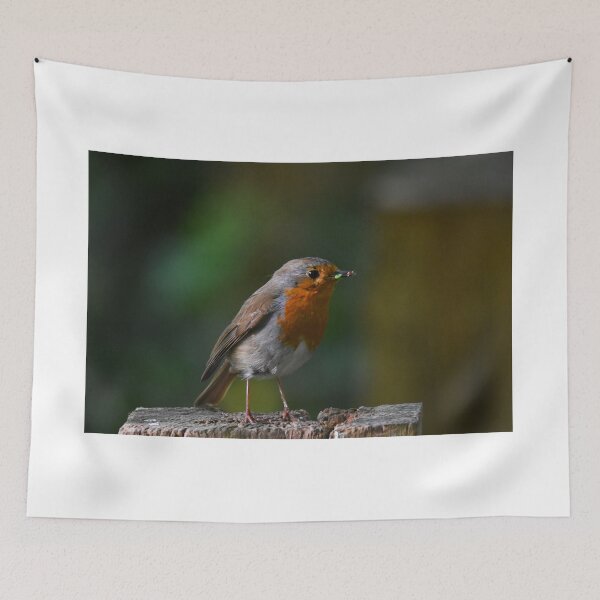 Item preview, European Robin Perched on a Log in Natural Light designed and sold by Shanguai.