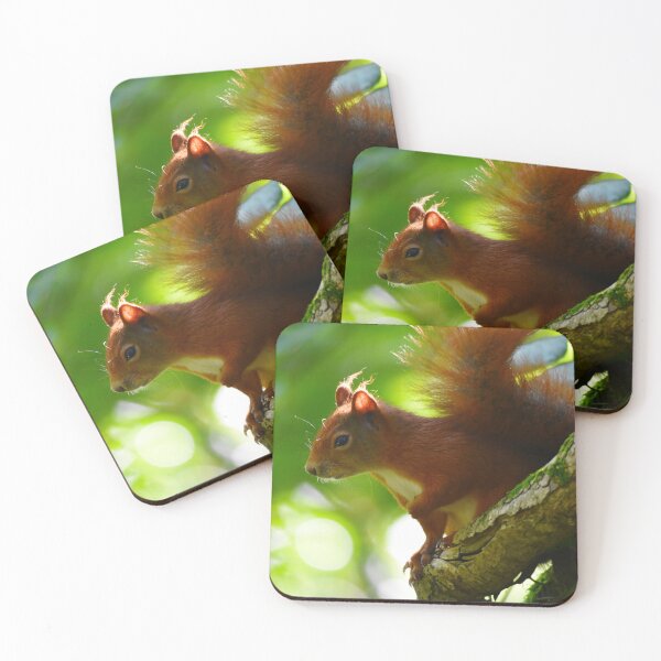 Item preview, Red Squirrel Climbing a Tree in Dappled Sunlight designed and sold by Shanguai.