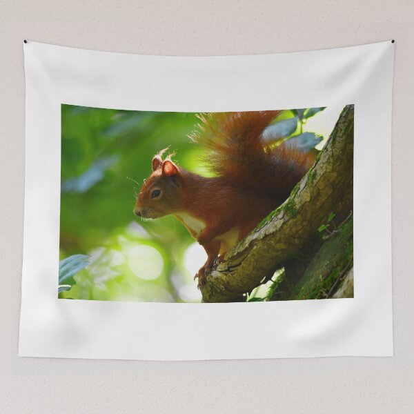 Item preview, Red Squirrel Climbing a Tree in Dappled Sunlight designed and sold by Shanguai.