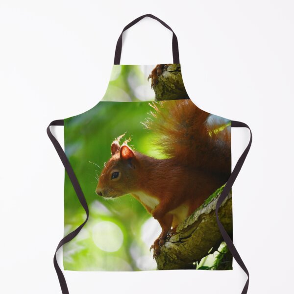 Item preview, Red Squirrel Climbing a Tree in Dappled Sunlight designed and sold by Shanguai.