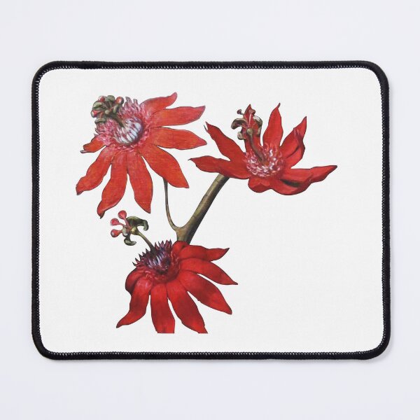 Item preview, Passionflowers designed and sold by Disony Creations.