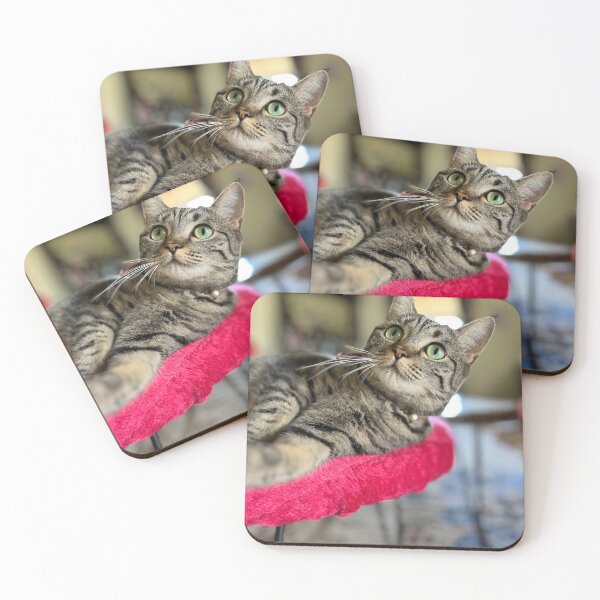 Item preview, Kit Kat Sees You designed and sold by thegindielady.