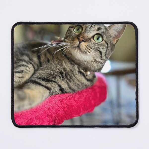 Item preview, Kit Kat Sees You designed and sold by thegindielady.