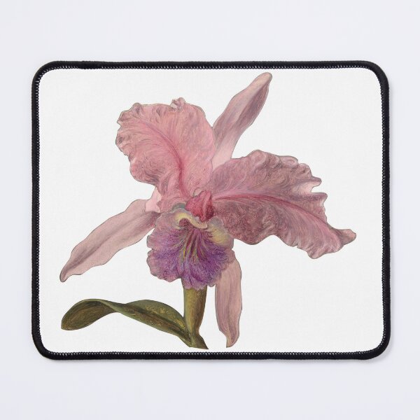 Item preview, Cattleya Orchid designed and sold by Disony Creations.