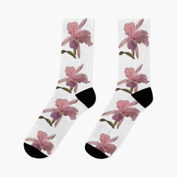 Item preview, Cattleya Orchid designed and sold by Disony Creations.