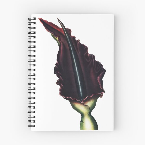 Item preview, The Dragon Arum designed and sold by Disony Creations.