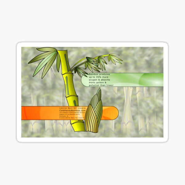 Bamboo Graphic - Sustainable Resources Sticker