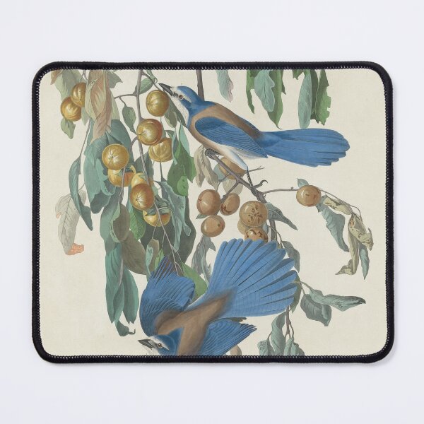 Item preview, Bluebirds designed and sold by THE GOOD FIND.
