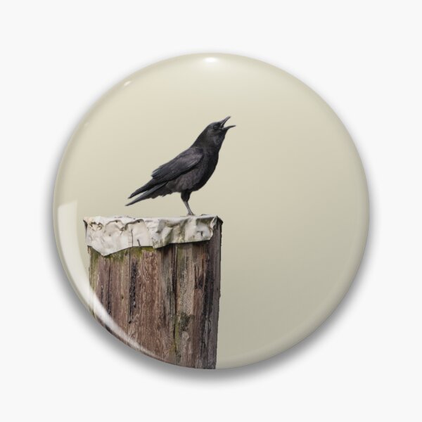 Item preview, American Crow (Cropped) designed and sold by Max Moyer Photography.