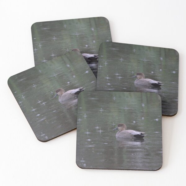 Item preview, Gadwall In Rain designed and sold by Max Moyer Photography.
