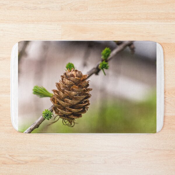 Item preview, Between Seasons — Larch Cone and Spring Awakening designed and sold by Rabee Khalil Photography.