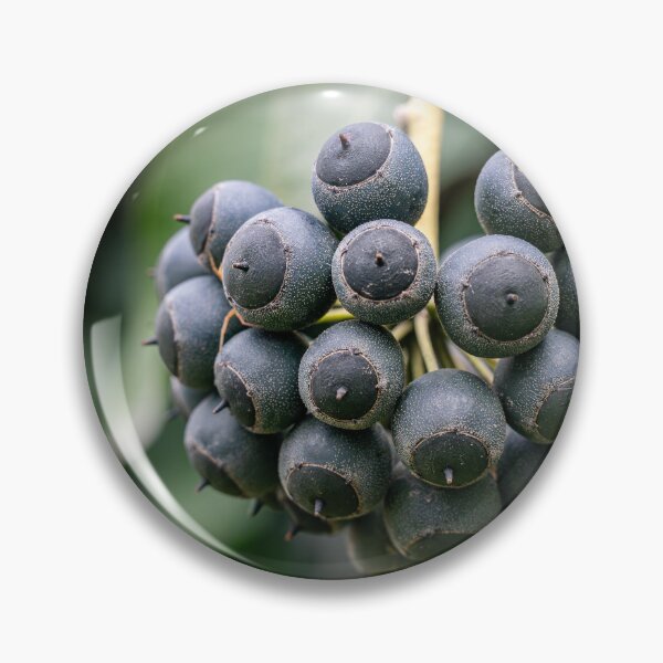Item preview, Dark Cluster — Ivy Berries Up Close designed and sold by Rabee Khalil Photography.
