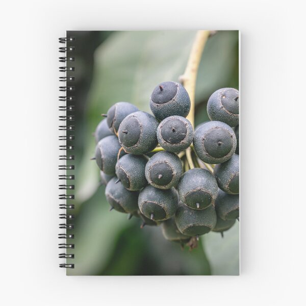 Item preview, Dark Cluster — Ivy Berries Up Close designed and sold by Rabee Khalil Photography.