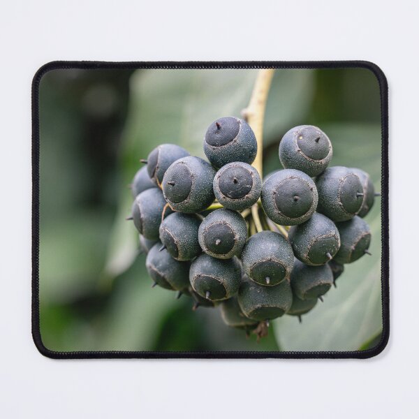 Item preview, Dark Cluster — Ivy Berries Up Close designed and sold by Rabee Khalil Photography.