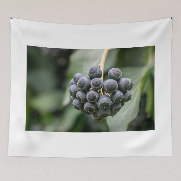Item preview, Dark Cluster — Ivy Berries Up Close designed and sold by Rabee Khalil Photography.