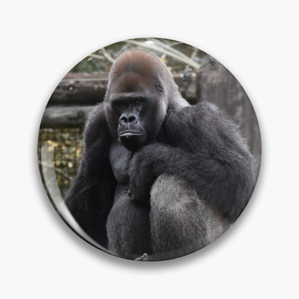 Item preview, Gorilla Resting On A Rock designed and sold by KillNFuel.