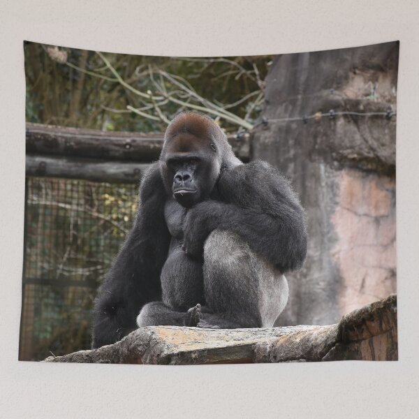 Item preview, Gorilla Resting On A Rock designed and sold by KillNFuel.
