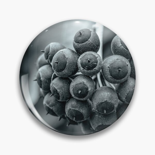 Item preview, Spheres of Shadow — Ivy Berries in Black and White designed and sold by Rabee Khalil Photography.