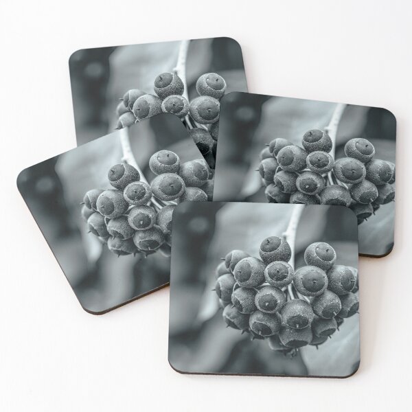Item preview, Spheres of Shadow — Ivy Berries in Black and White designed and sold by Rabee Khalil Photography.