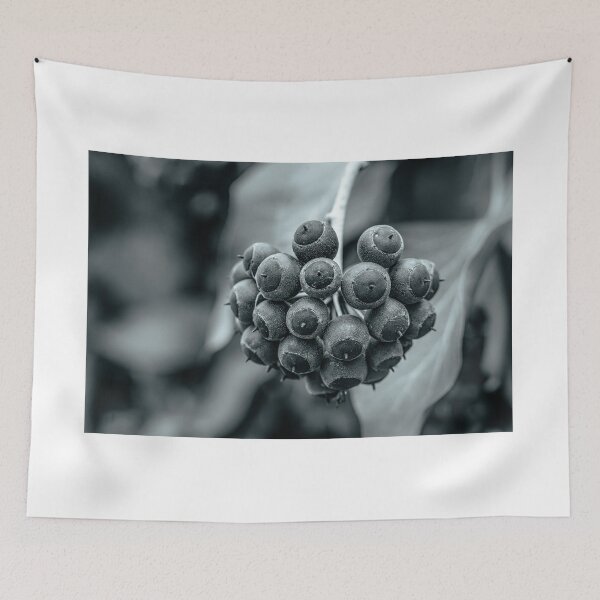 Item preview, Spheres of Shadow — Ivy Berries in Black and White designed and sold by Rabee Khalil Photography.