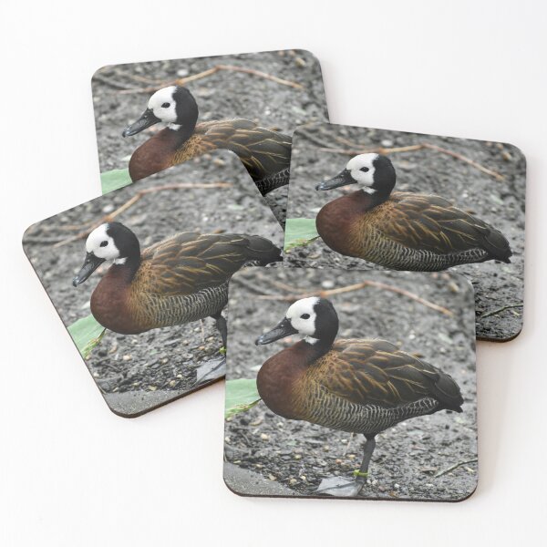 Item preview, Elegant White faced Whistling Duck Standing Alert designed and sold by KillNFuel.