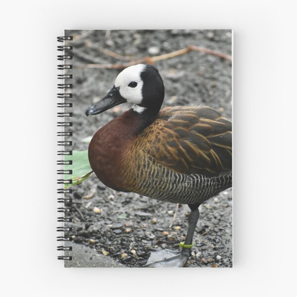 Item preview, Elegant White faced Whistling Duck Standing Alert designed and sold by KillNFuel.