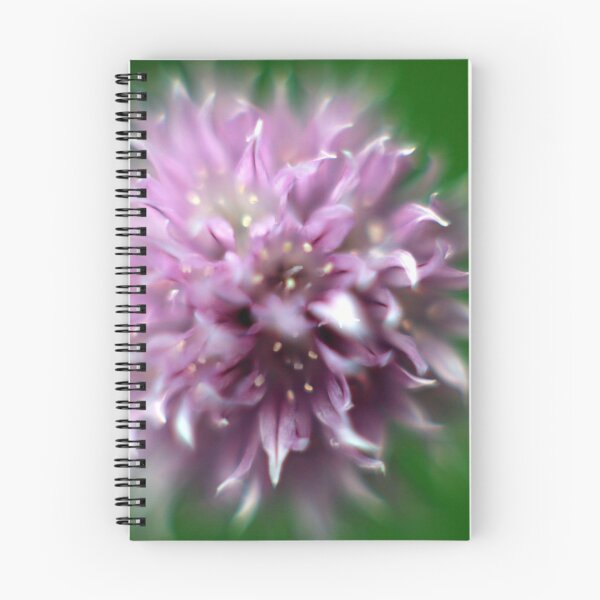 Item preview, chive flower designed and sold by elainefg.