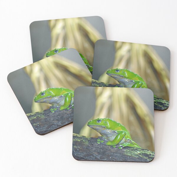 Item preview, Green Giant Waxy Monkey Frog On A Log designed and sold by KillNFuel.
