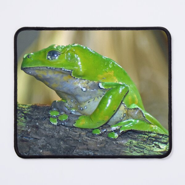 Item preview, Green Giant Waxy Monkey Frog On A Log designed and sold by KillNFuel.