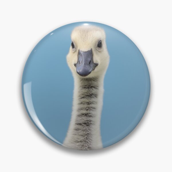 Item preview, Portrait of Gosling (Cropped) designed and sold by Max Moyer Photography.