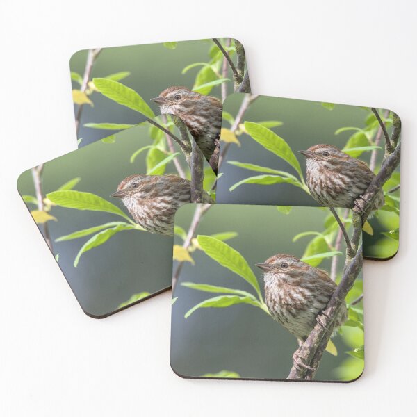 Item preview, Yet Another Song Sparrow designed and sold by Max Moyer Photography.