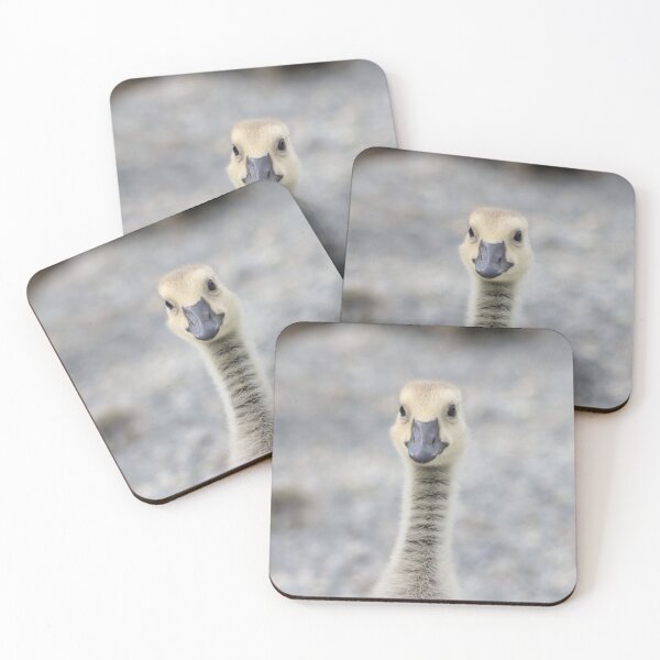 Item preview, Portrait of Gosling (Full) designed and sold by Max Moyer Photography.