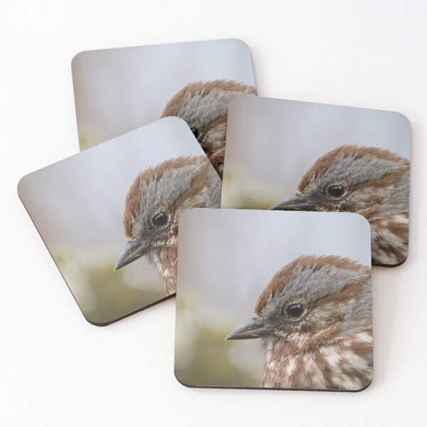 Item preview, Song Sparrow (Full) designed and sold by Max Moyer Photography.