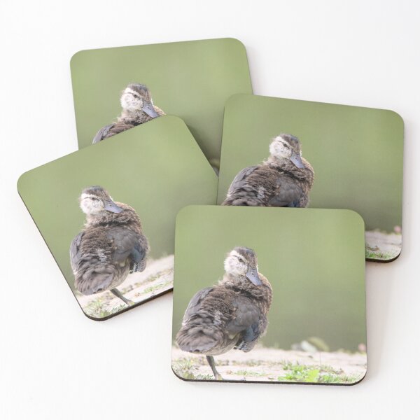Item preview, Duckling At Rest designed and sold by Max Moyer Photography.