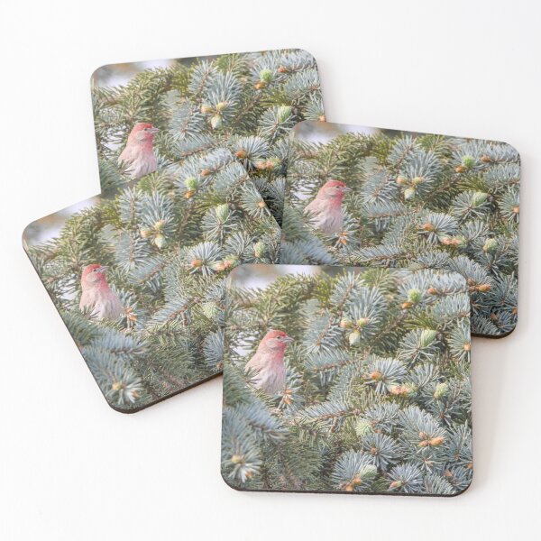 Item preview, House Finch designed and sold by Max Moyer Photography.