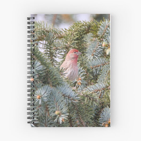 Item preview, House Finch designed and sold by Max Moyer Photography.