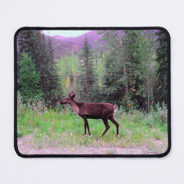 Item preview, Wild Caribou in the Northern Wilderness - Alaska and Yukon Wildlife designed and sold by Lainey1978.