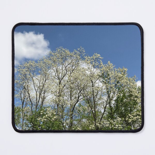Item preview, Catalpa Alpha 13 designed and sold by Abeink1030.