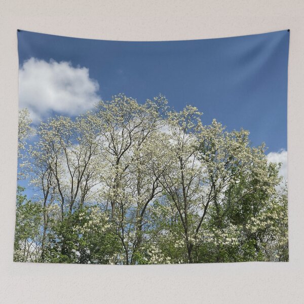 Item preview, Catalpa Alpha 13 designed and sold by Abeink1030.