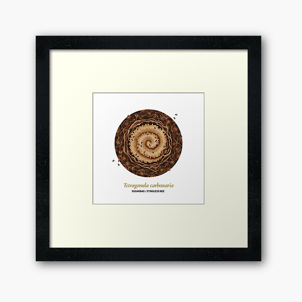 Item preview, The Circles of Life: Sugarbag / Stingless Bee designed and sold by Franz Anthony.