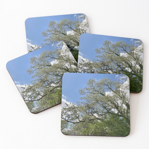 Item preview, Catalpa Alpha 15 designed and sold by Abeink1030.