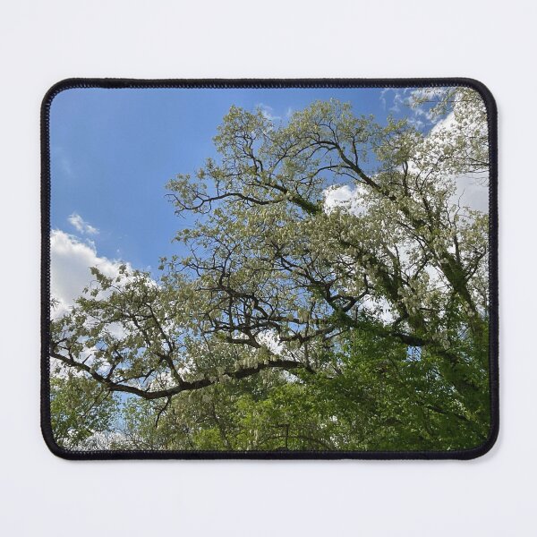 Item preview, Catalpa Alpha 15 designed and sold by Abeink1030.
